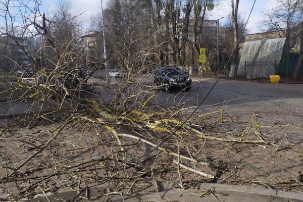 Столбы, деревья, указатели: последствия шторма в Калининграде (фото) Столбы, деревья, указатели: последствия шторма в Калининграде (фото)