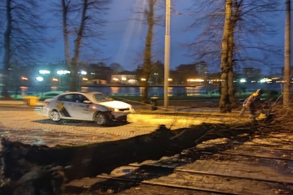 Столбы, деревья, указатели: последствия шторма в Калининграде (фото) Столбы, деревья, указатели: последствия шторма в Калининграде (фото)