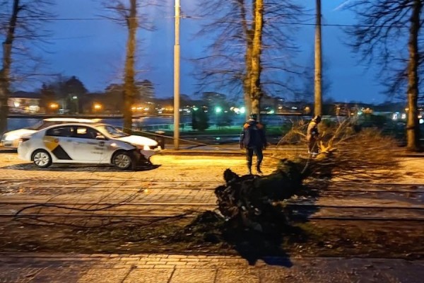 Столбы, деревья, указатели: последствия шторма в Калининграде (фото) Столбы, деревья, указатели: последствия шторма в Калининграде (фото)
