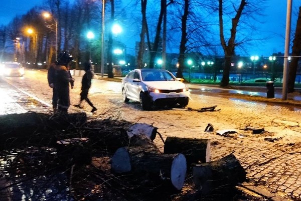 Столбы, деревья, указатели: последствия шторма в Калининграде (фото) Столбы, деревья, указатели: последствия шторма в Калининграде (фото)
