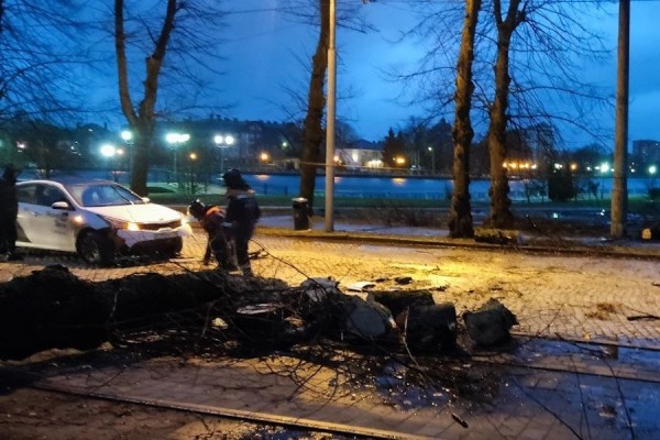 Столбы, деревья, указатели: последствия шторма в Калининграде (фото) Столбы, деревья, указатели: последствия шторма в Калининграде (фото)