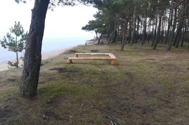 В лесах Калининграда обустраивают места отдыха из поваленных деревьев
В лесах Калининграда обустраивают места отдыха из поваленных деревьев
