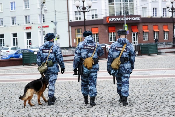 Военное положение, режимы готовности: что и в каких регионах России введено Военное положение, режимы готовности: что и в каких регионах России введено