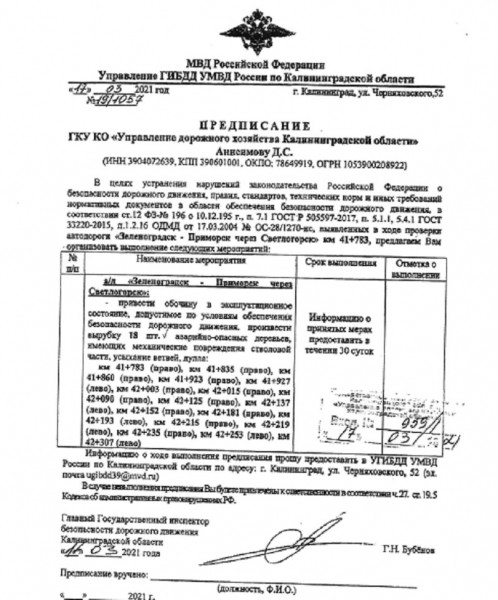 Власти Зеленоградска выдали госпредприятию &laquo;ДЭП №2&raquo; порубочный на придорожную аллею на 4 км