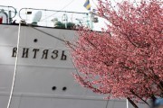 
						&laquo;Рыбное торжество&raquo;: как в Калининграде отмечают День селёдки (фото)			Избранное								