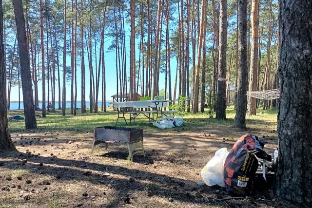 
						В мэрии рассказали, где в Калининграде можно жарить шашлыки											