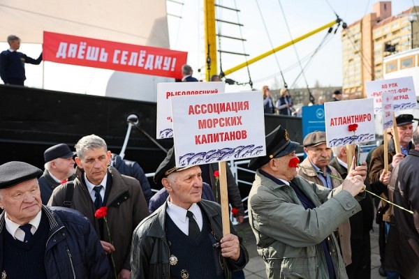 Селедка под сакурой: как прошел самый известный в России калининградский праздник (фото) Селедка под сакурой: как прошел самый известный в России калининградский праздник (фото)