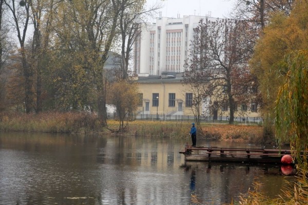 В Калининграде вызвали спасателей для тонущих котят в пакете