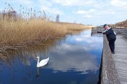 «Прогулка с препятствиями»: как выглядит деревянный променад в Янтарном перед ремонтом (фото)
«Прогулка с препятствиями»: как выглядит деревянный променад в Янтарном перед ремонтом (фото)