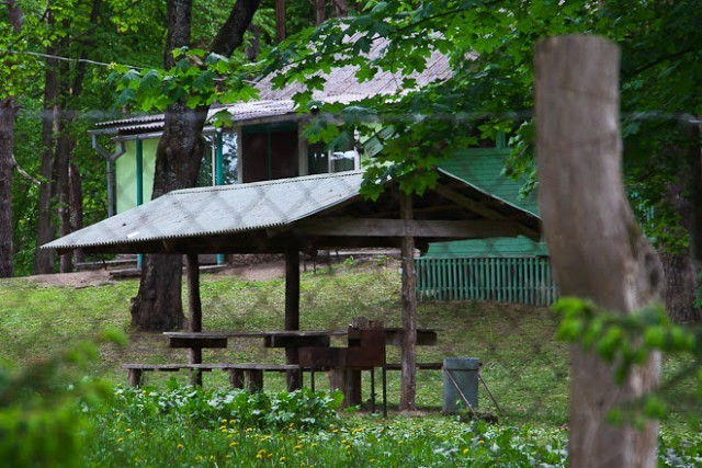 На участке базы отдыха в Приморье разместят 25 зданий для центра здоровья Избранное
На участке базы отдыха в Приморье разместят 25 зданий для центра здоровья Избранное