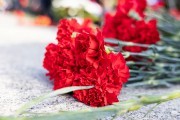 В Калининграде прошли мероприятия, посвящённые 78-й годовщине взятия Кёнигсберга (фото)
В Калининграде прошли мероприятия, посвящённые 78-й годовщине взятия Кёнигсберга (фото)
