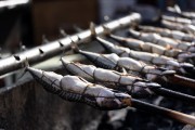 
						&laquo;Рыбное торжество&raquo;: как в Калининграде отмечают День селёдки (фото)			Избранное								