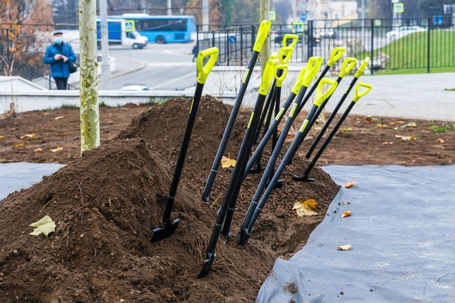 На высадку деревьев и живой изгороди в Калининграде выделили 3,7 млн рублей
На высадку деревьев и живой изгороди в Калининграде выделили 3,7 млн рублей