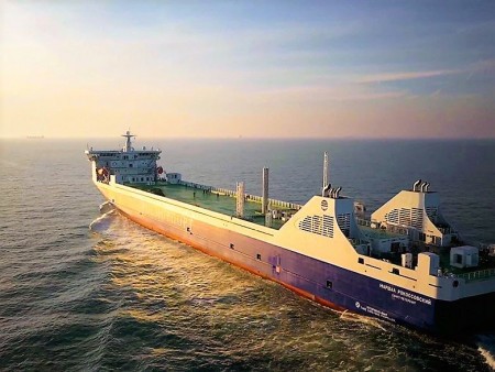 Паромы не вернулись к прошлогодним значениям: инфографика RUGRAD