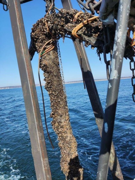 У Янтарного в Балтийском море нашли якорь весом в 500 кг У Янтарного в Балтийском море нашли якорь весом в 500 кг