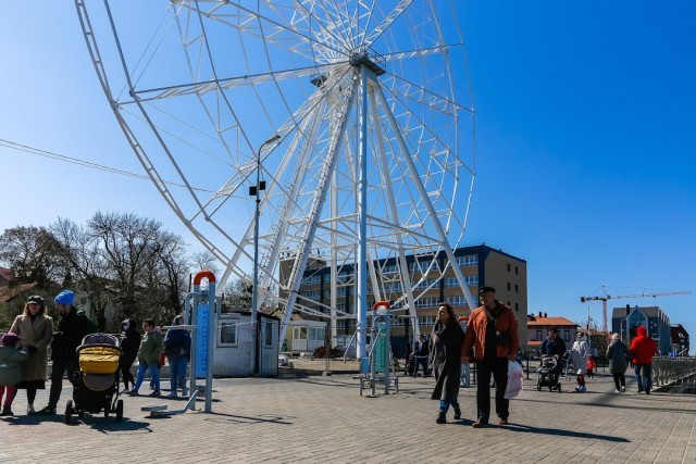 
						На площади &laquo;Роза ветров&raquo; в Зеленоградске разрешили вырубить девять деревьев под благоустройство											