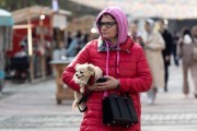 «Еда, флажки и мастер-классы»: на острове Канта открылась ярмарка со стритфудом и музыкой (фото)
«Еда, флажки и мастер-классы»: на острове Канта открылась ярмарка со стритфудом и музыкой (фото)