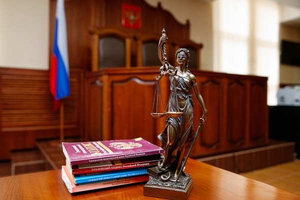 &laquo;Право быть неидеальными&raquo;: калининградка судится с опекунами за право воспитывать близняшек