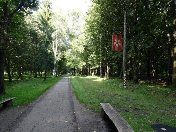 В Черняховске назвали дату и место проведения фестиваля цветов В Черняховске назвали дату и место проведения фестиваля цветов