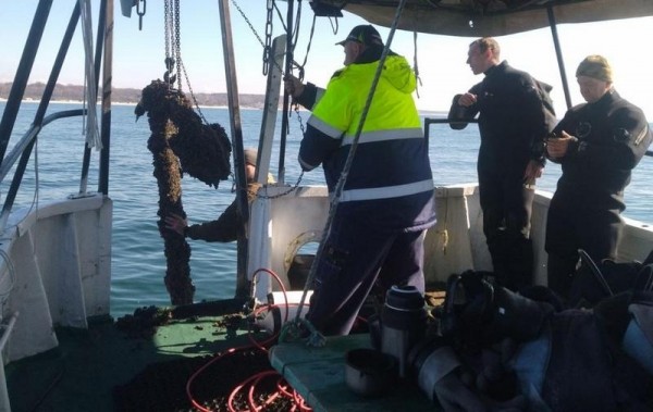 У Янтарного в Балтийском море нашли якорь весом в 500 кг У Янтарного в Балтийском море нашли якорь весом в 500 кг