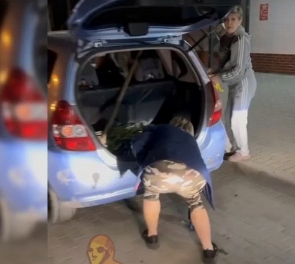 В Калининграде сняли на видео женщин на &laquo;Хёндэ&raquo; с цветами из клумбы