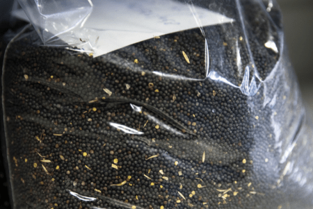 Экспорт шрота из Калининградской области за год вырос на 56 % Экспорт шрота из Калининградской области за год вырос на 56 %