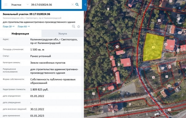 Компания президента «Академии боевых искусств» вырубила в центре Светлогорска 42 дерева Компания президента «Академии боевых искусств» вырубила в центре Светлогорска 42 дерева