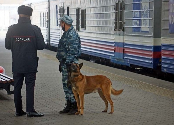 Названо условие сокращения ожидания посылок в Калининграде Названо условие сокращения ожидания посылок в Калининграде