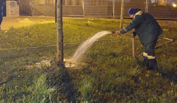 Жара в мае вылилась бюджету Калининграда в 1,2 млн рублей Жара в мае вылилась бюджету Калининграда в 1,2 млн рублей