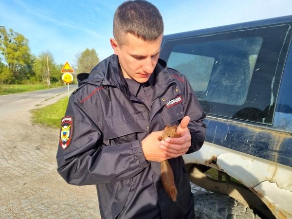 Под Калининградом пьяная переселенка держала в заложниках белку
