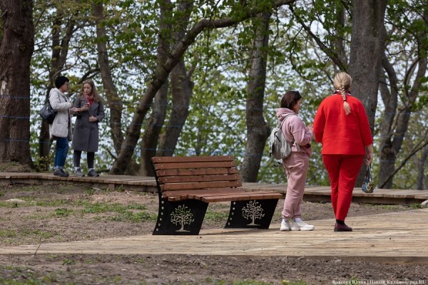 «Компиляция всех замков Тевтонского ордена»: что арендаторы планируют делать с Бальгой «Компиляция всех замков Тевтонского ордена»: что арендаторы планируют делать с Бальгой