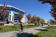 
						&laquo;Под розовым куполом&raquo;: возле дворца спорта &laquo;Янтарный&raquo; в Калининграде зацвела аллея сакур (фото)											