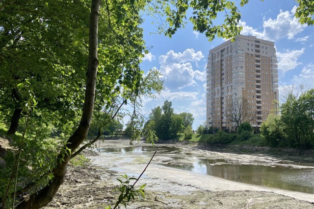 Ялтинский пруд в Калининграде планируют наполнить водой в июне
Ялтинский пруд в Калининграде планируют наполнить водой в июне