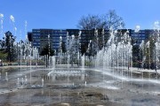 В Калининграде запустили городские фонтаны (фото)
В Калининграде запустили городские фонтаны (фото)