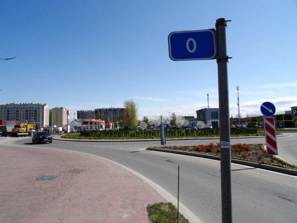В Зеленоградске ищут похитителей пары тюльпанов с клумбы