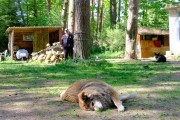 
						На берегу залива откроют палаточный лагерь для калининградских школьников (фото)											