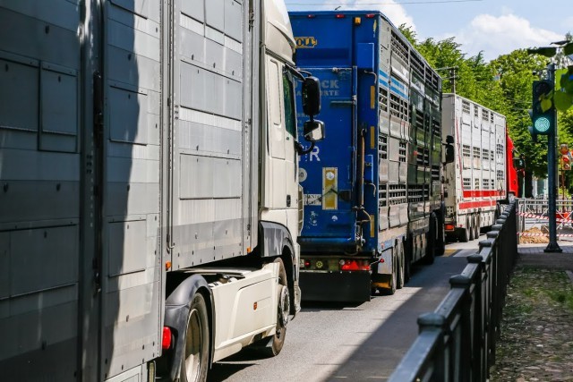 
						Калининградские автоперевозчики оценили свои потери от санкций Евросоюза в 2,3 млрд рублей			Избранное								