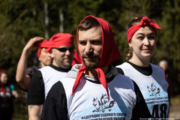 Совсем не Джек Лондон: как калининградцы с питомцами соревновались в ездовом спорте (фото) Совсем не Джек Лондон: как калининградцы с питомцами соревновались в ездовом спорте (фото)