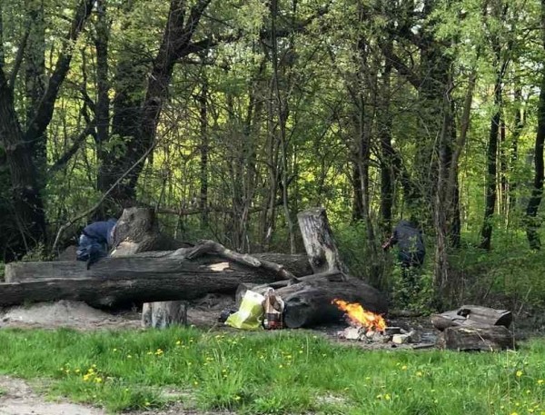 В Южном парке Калининграда в открытую жарят сосиски В Южном парке Калининграда в открытую жарят сосиски