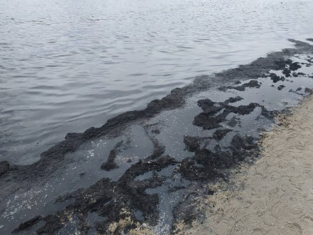 Росприроднадзор проверяет акваторию моря в Зеленоградске на загрязнение нефтепродуктами