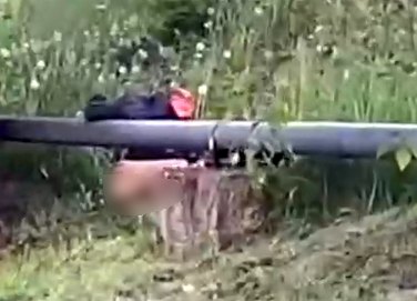 В центре Балтийска прохожие задержали окровавленного насильника В центре Балтийска прохожие задержали окровавленного насильника