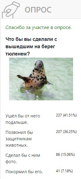 Треть калининградцев готовы вызвать зоозащитников при виде тюленя Треть калининградцев готовы вызвать зоозащитников при виде тюленя