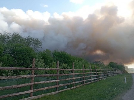 Роспотребнадзор повторно не нашел нарушений при возгорании свалки в Ельняках Роспотребнадзор повторно не нашел нарушений при возгорании свалки в Ельняках