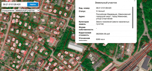 На вынос ЛЭП с территории для строительства ФОКа в Мамоново выделили 2,46 млн руб