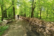 
						&laquo;Канавы вдоль дорожек&raquo;: в Калининграде начали благоустройство Макс-Ашманн-парка (фото)											