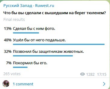 Треть калининградцев готовы вызвать зоозащитников при виде тюленя Треть калининградцев готовы вызвать зоозащитников при виде тюленя
