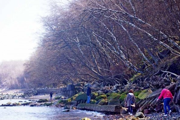 Где в Калининградской области погода испортит короткую рабочую неделю Где в Калининградской области погода испортит короткую рабочую неделю