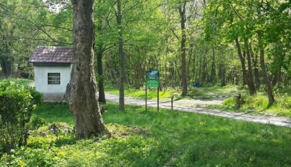 Пансионат под Янтарным &laquo;Варежкино&raquo; закрыли на 30 суток за антисанитарию