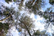 
						На берегу залива откроют палаточный лагерь для калининградских школьников (фото)											