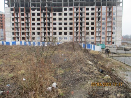 Структура Фонда ЖСС вырубит насаждения под проезд к новостройкам в конце ул. Артиллерийской Структура Фонда ЖСС вырубит насаждения под проезд к новостройкам в конце ул. Артиллерийской